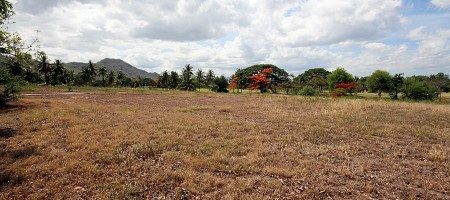 Palm Hills Golf Club Land – Land For Sale Palm Hills Golf Club Land – Land For Sale