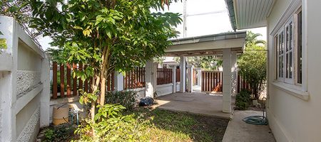 Tippawan 4 (11017) Tippawan 4 (11017)